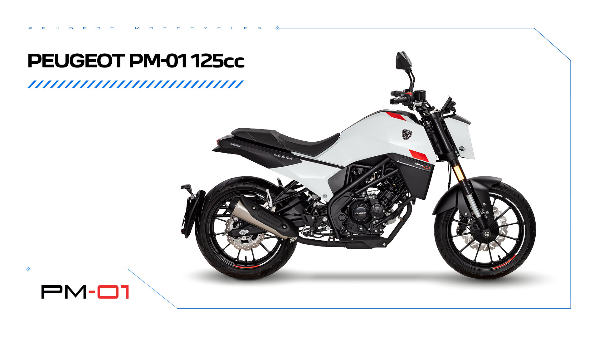 PM-01